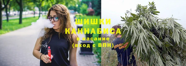 мет Арсеньев