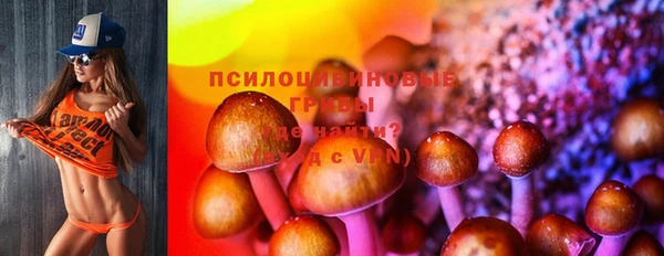 мет Арсеньев
